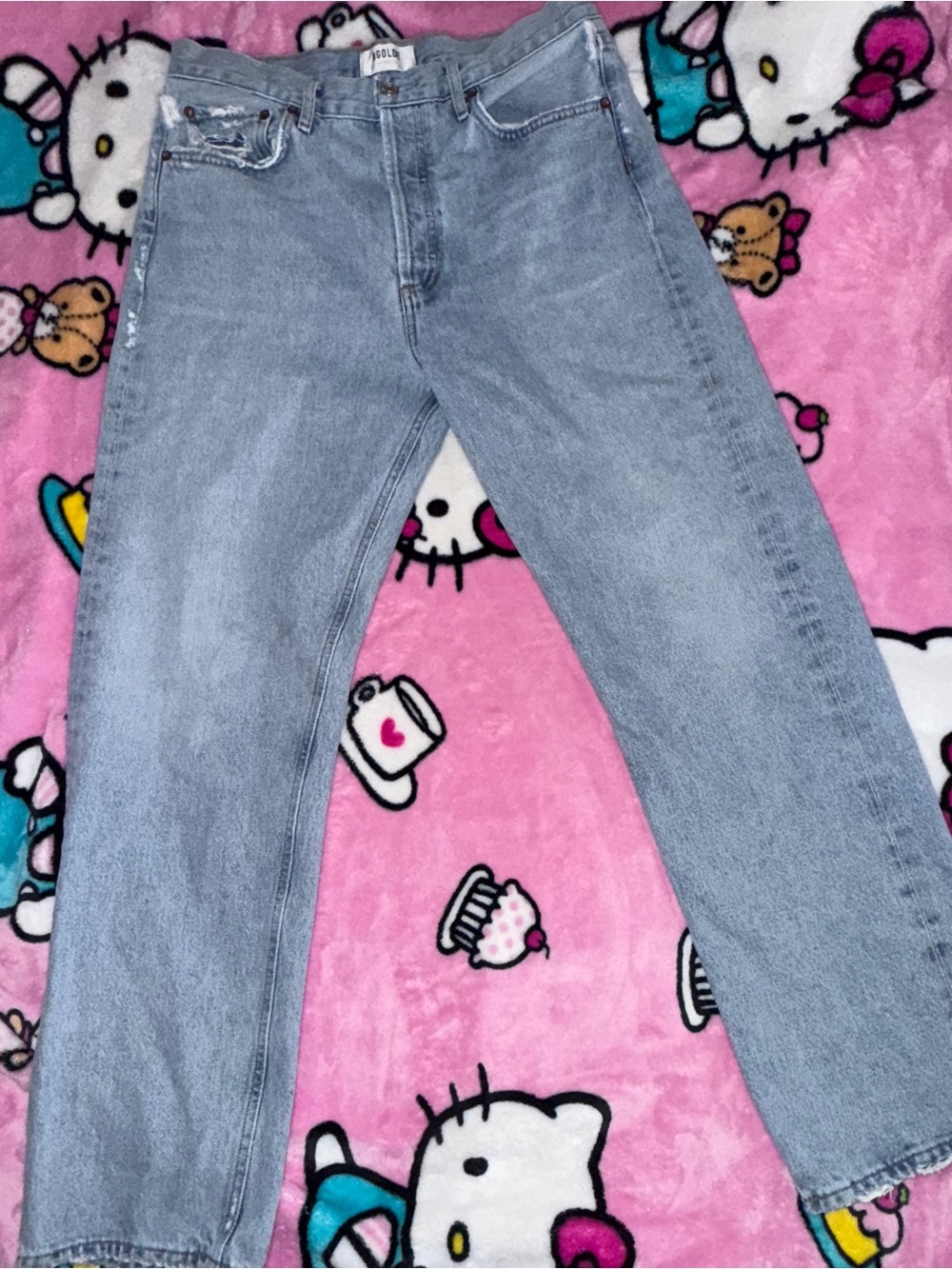 Agolde 90's Mid Rise Loose Fit Jeans in Snapshot Size 28